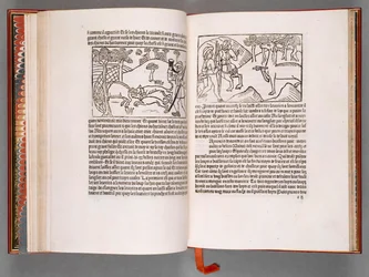 Libro del Re Modus e della Regina Ratio